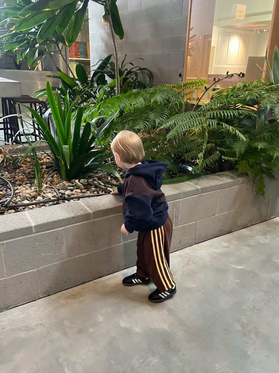 4 Stripe Terry Pant Chocolate